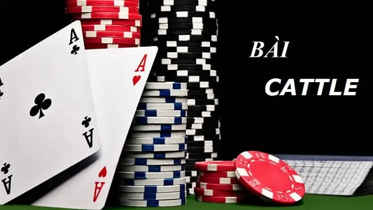 Catte Hitclub: Luật Chơi Và Bí Quyết Giữ Bài Hay
